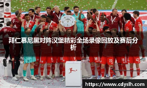 拜仁慕尼黑对阵汉堡精彩全场录像回放及赛后分析